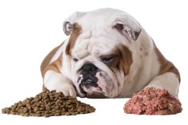 Pet raw food