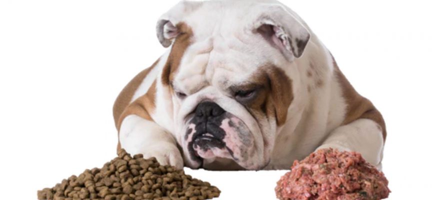 Pet raw food